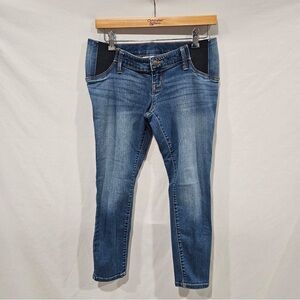 Isabel Maternity Denim Skinny Jean Women’s Size 2